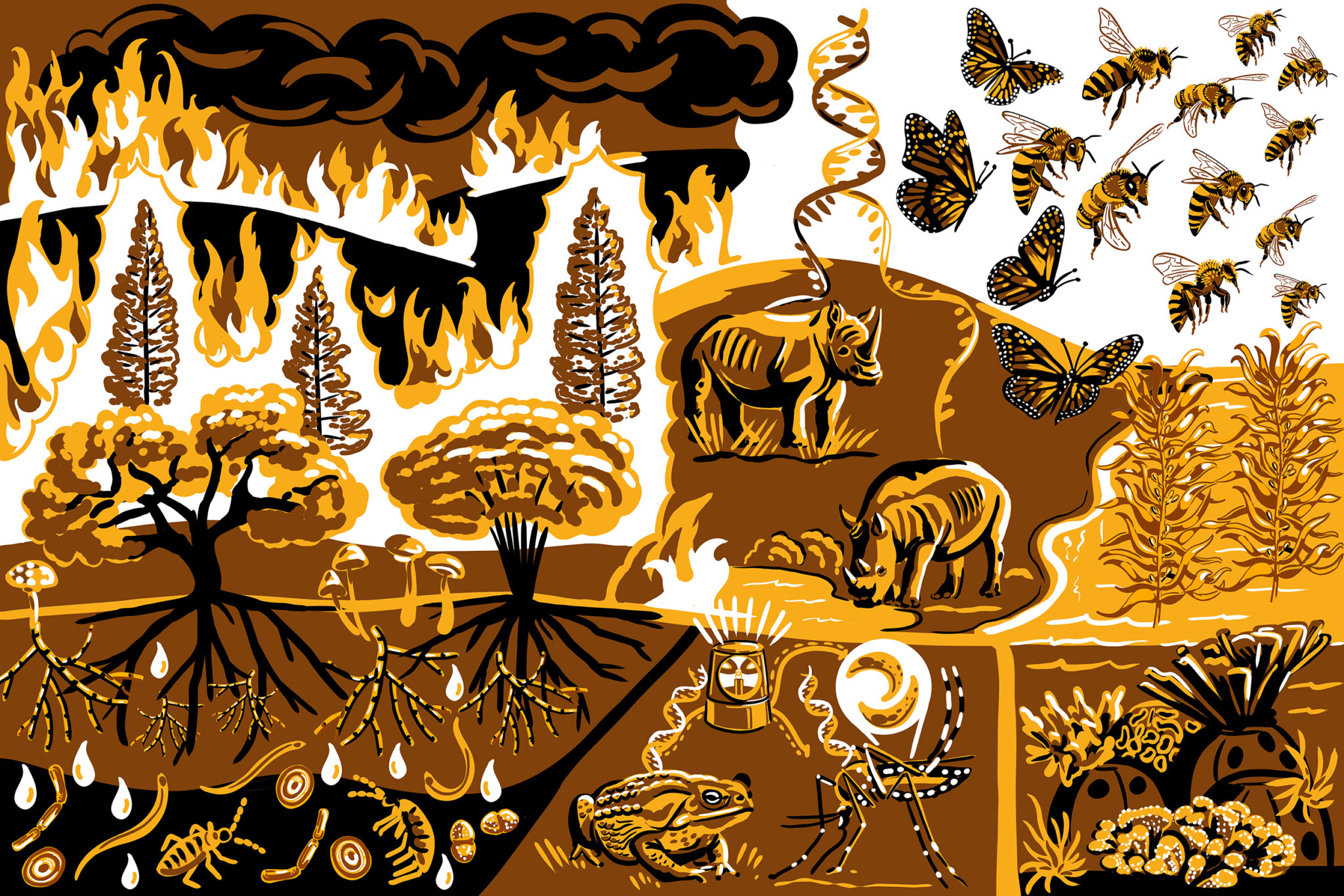 Conservation Of Ecosystems And Biodiversity Ebrc Research Roadmap Conservation Of Ecosystems And Biodiversity Ebrc Research Roadmap